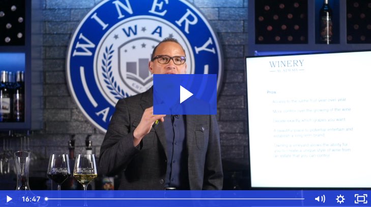 Winery Academy — Jason's coaching session